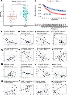 Development and validation of a chromatin regulator prognostic signature in colon adenocarcinoma